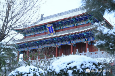 【重磅消息】河北美术学院2022年艺术类专业校考报名开始啦